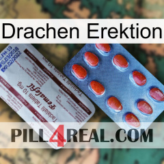 Dragon Erection 36